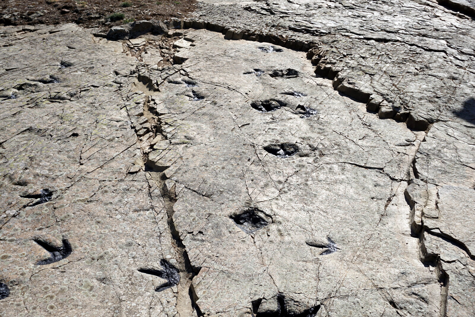Arqueología